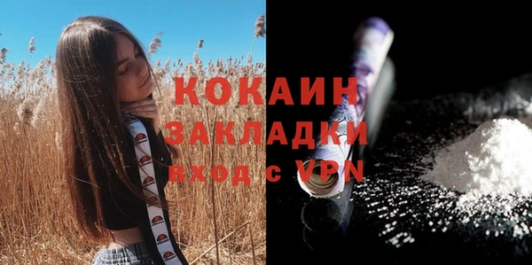 ГАЛЛЮЦИНОГЕННЫЕ ГРИБЫ Балабаново